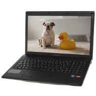 Lenovo IDEAPAD G565 - Notebook