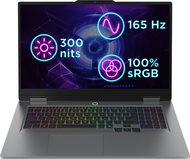 Lenovo LOQ 17IRX10 Luna Grey - Herní notebook