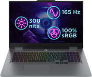 Lenovo LOQ 17IRX10 Luna Grey - Herní notebook