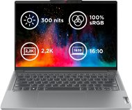 Lenovo IdeaPad Pro 5 14APH8 Arctic Grey celokovový - Laptop