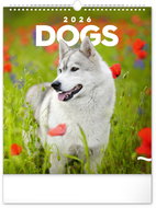 NOTIQUE Wall calendar Dogs 2026, 30 x 34 cm - Wall Calendar