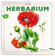 NOTIQUE Herbarium 2026 notebook, 30 x 30 cm - Wall Calendar