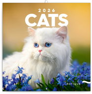 NOTIQUE Cats 2026 notebook, 30 x 30 cm - Wall Calendar