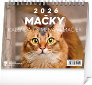 NOTIQUE Cats - with cat names 2026, 16.5 x 13 cm - Desk Calendar