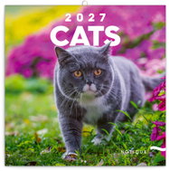 NOTIQUE poznámkový Kočky 2027, 30 × 30 cm - Wall Calendar