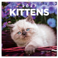 NOTIQUE poznámkový Koťata 2027, 30 × 30 cm - Wall Calendar