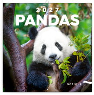 NOTIQUE poznámkový Pandy 2027, 30 × 30 cm - Wall Calendar