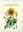 Vintage Posters – Herbarium 2027, 33 x 46cm