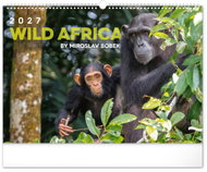 NOTIQUE Živá Afrika 2027, 48 × 33 cm - Wall Calendar