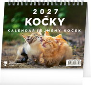 NOTIQUE Cats – with Cat Names 2027, 16.5 × 13cm - Desk Calendar