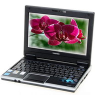 Notebook Toshiba NB100-12M - Laptop