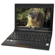 Toshiba NB500-108 brown - Laptop