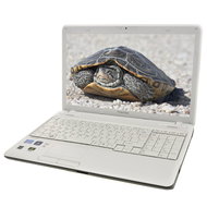 Toshiba Satellite C660-1X2 white - Laptop