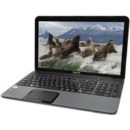 Toshiba Satellite C855-12K silver - Laptop