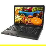 Toshiba Satellite C660D-1FV - Laptop