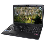 Toshiba Satellite Pro C650-10T - Laptop