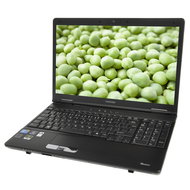 Toshiba Tecra S11-10E - Laptop