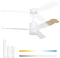NOATON 14132WWL Canis stropní ventilátor se světlem, bílá a světle hnědá - Ventilátor
