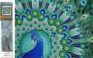 Norimpex 7D Peacock Magic 30 × 40 cm - Diamond Painting
