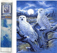 Norimpex Snowy Owl 30 × 40 cm - Diamond Painting