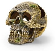 Oase Eden Skull - Aquarium Decoration