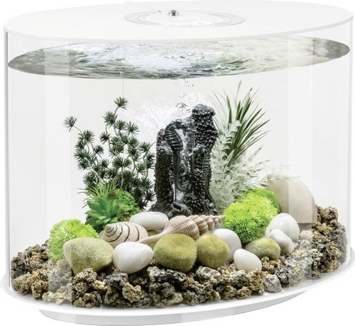 Oase BiOrb LOOP 30 LED white - Aquarium - Main image