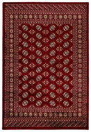 Obsession  Kusový koberec My Ariana 880 red 40 × 60 - Carpet