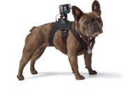Camera Holder GoPro Fetch (dog harness) - Držák na kameru