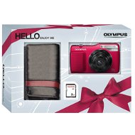 Olympus VG-170 red + pouzdro + 2GB SDHC - Digital Camera