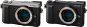 Panasonic LUMIX DMC-GX80 - Digital Camera