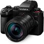 Panasonic Lumix DC-G9 II + Leica DG Vario-Elmarit 12-60 mm f/2.8-4 Power O.I.S. schwarz - Digitalkamera