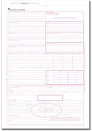 OPTYS 1196 CMR National Consignment Note - Form