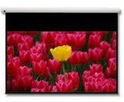 Optoma DE-9106EGA - Projektionsleinwand - Hauptbild