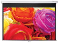 Optoma DS-1123PMG+ - Projektionsleinwand