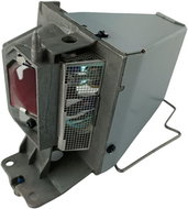 Optoma LAMP H185X/ DW322/W381/W309ST X309ST/H190X/H117ST - Ersatzlampe