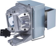 Optoma SP.7D101GC01 - Ersatzlampe