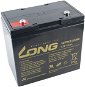 Long 12V 55Ah Lead Acid Battery DeepCycle AGM F8 (WP55-12NE) - Traction Battery