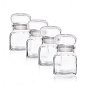 Orion Spice Container Set Glass TK120 4 pcs - Spice Container Set