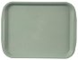 Orion Tray UH 35,5x26,5 cm green - Tray