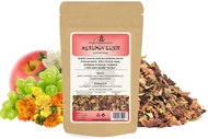 ORIENTAL Fruit tea Merlin's elixir - 50 g - Tea