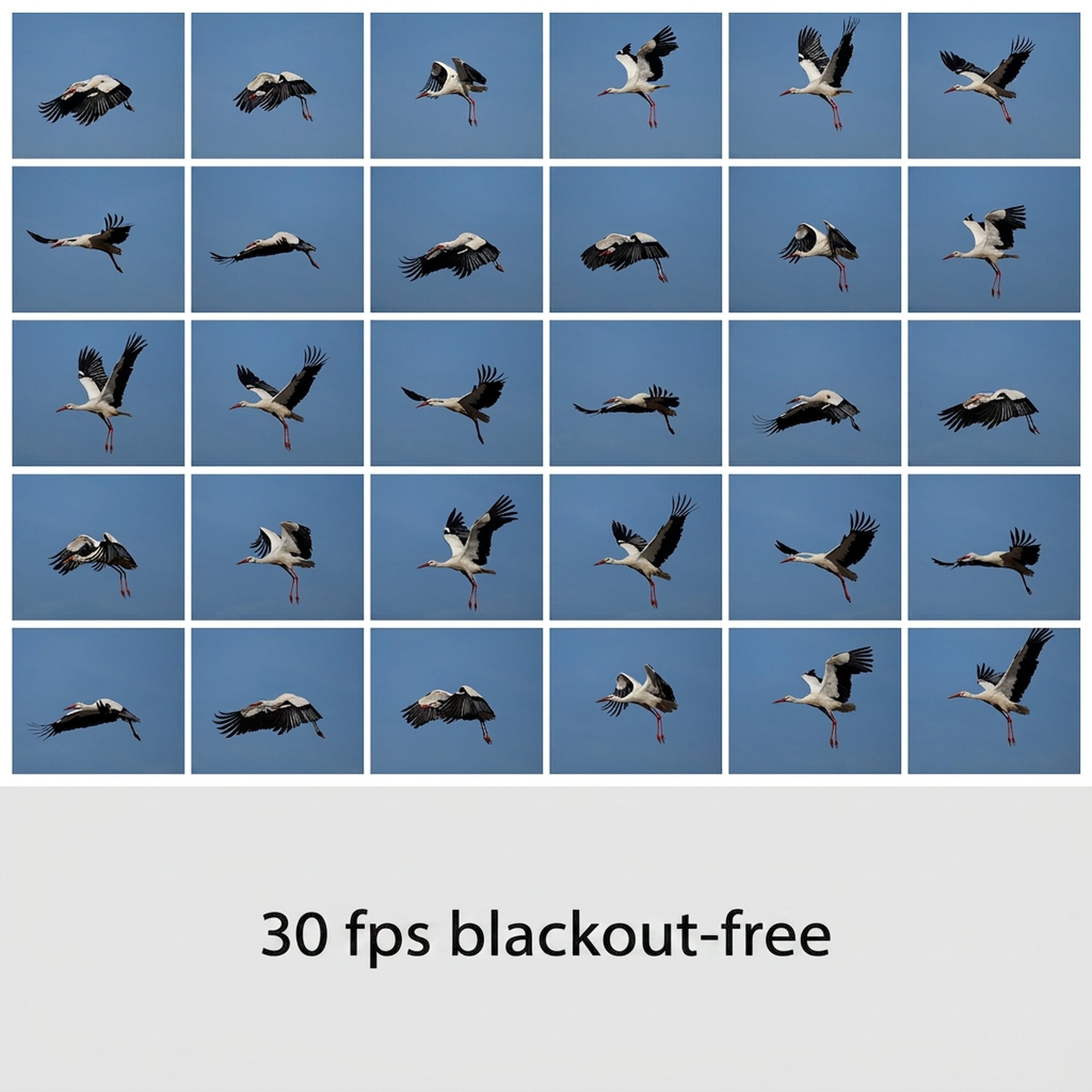 Sony DSC-RX10 V digitális fényképezőgép