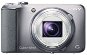 Sony CyberShot DSC-H90 silver - Digital Camera