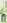 Citrus grass 90 ml
