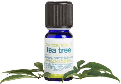 laSaponaria Organic Tea Tree Essential Oil 10 ml - Essential Oil - Main image
