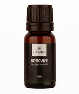 LUMANTE Pine 10 ml - Essential Oil