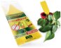 Insect Killer PAPER WISE Sticky arrows for sticking into the substrate 5 pcs - Lapač hmyzu