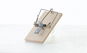 PAPÍRNA MOUDRÝ Wooden Mousetrap, 6pcs - Mouse Trap