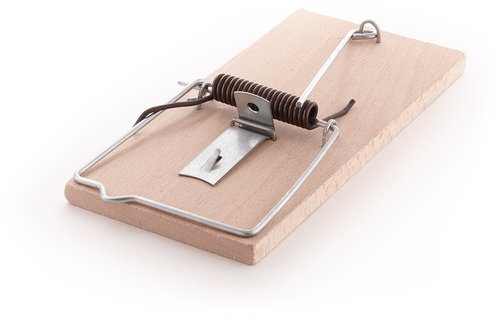 PAPER WISE Rat trap made of beech wood - Mouse Trap - Main image