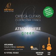 ORTEGA ATG44NM - Saiten