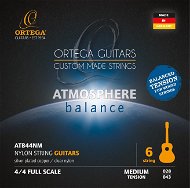 Strings ORTEGA ATB44NM - Struny